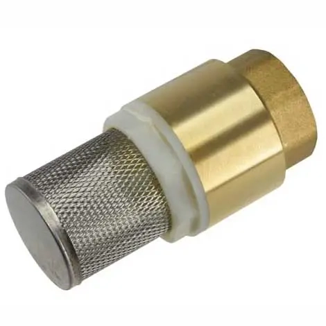 Bottenventil för vattenpump 1