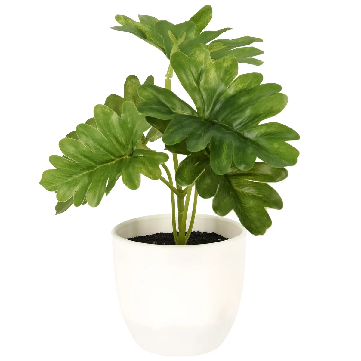 Krukkeplante April 15cm assorteret - Prydplanter - 8720573166317 - 0