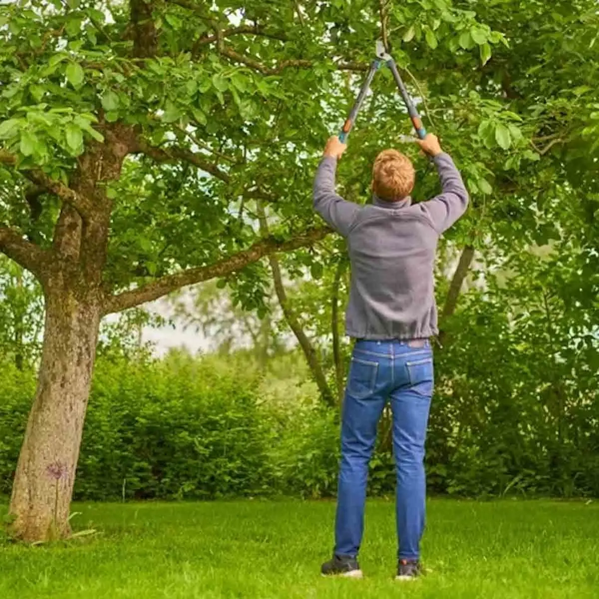 Rensningssax Gardena Telecut PRO S - Sekatörer och häcksaxar - 4066407022119 - 3