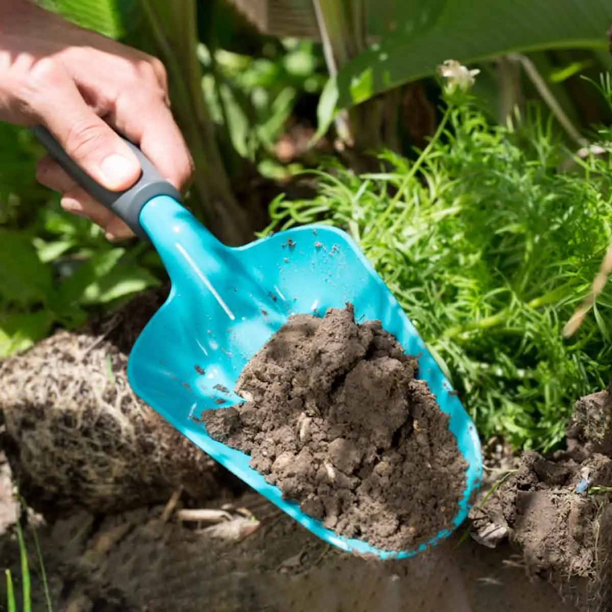 Planteringsskopa L Gardena Classic bred - Planteringsverktyg och jordborr - 4078500023696 - 2
