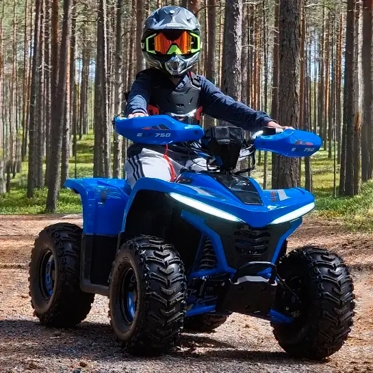Elfyrhjuling för barn Tao Motor ELF 750 Li-ion - ATV och barn ATV - 6438014425658 - 1