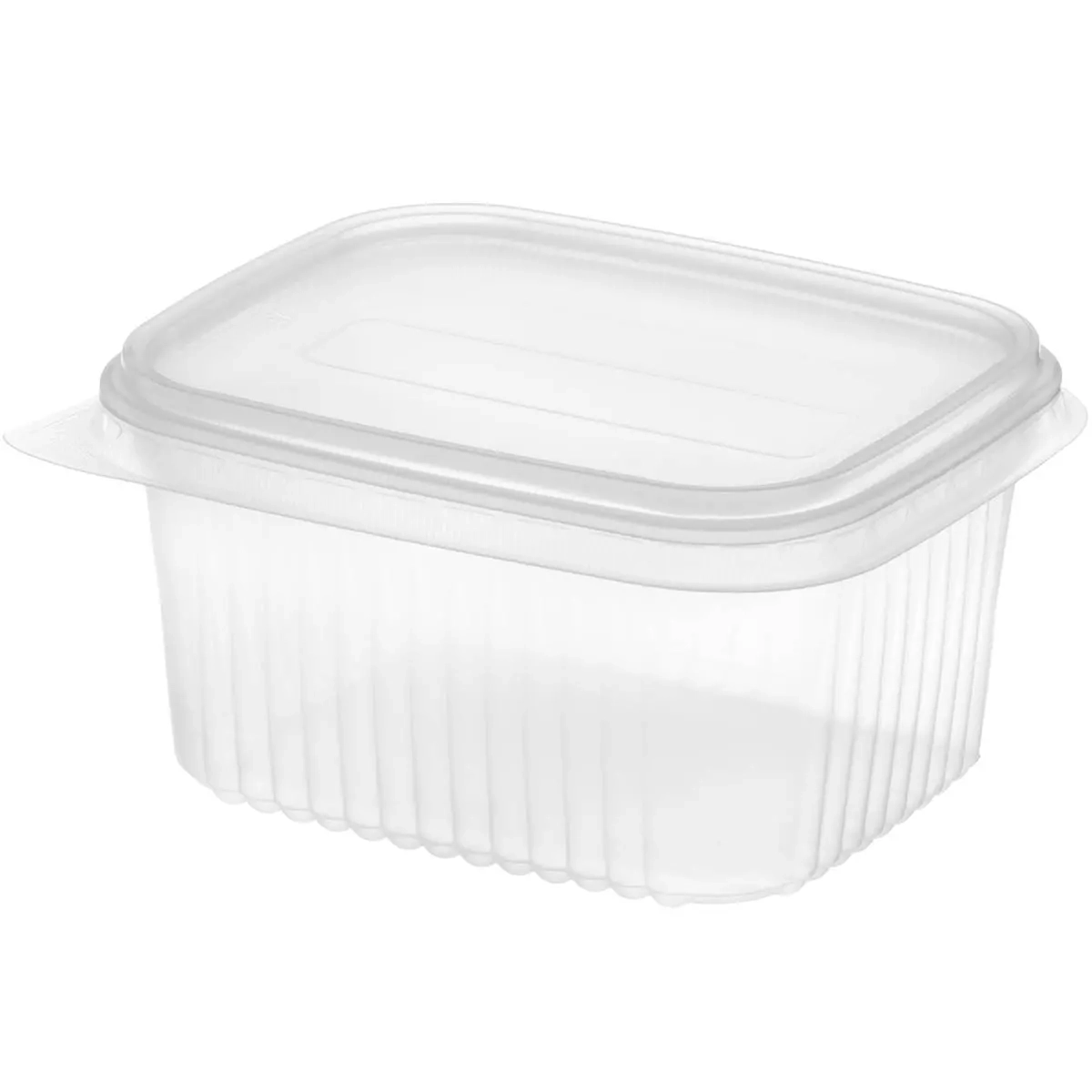 Fryseboks engangs 0,5L 5stk - Frysebokse og fryseposer - 6410416249018 - 1