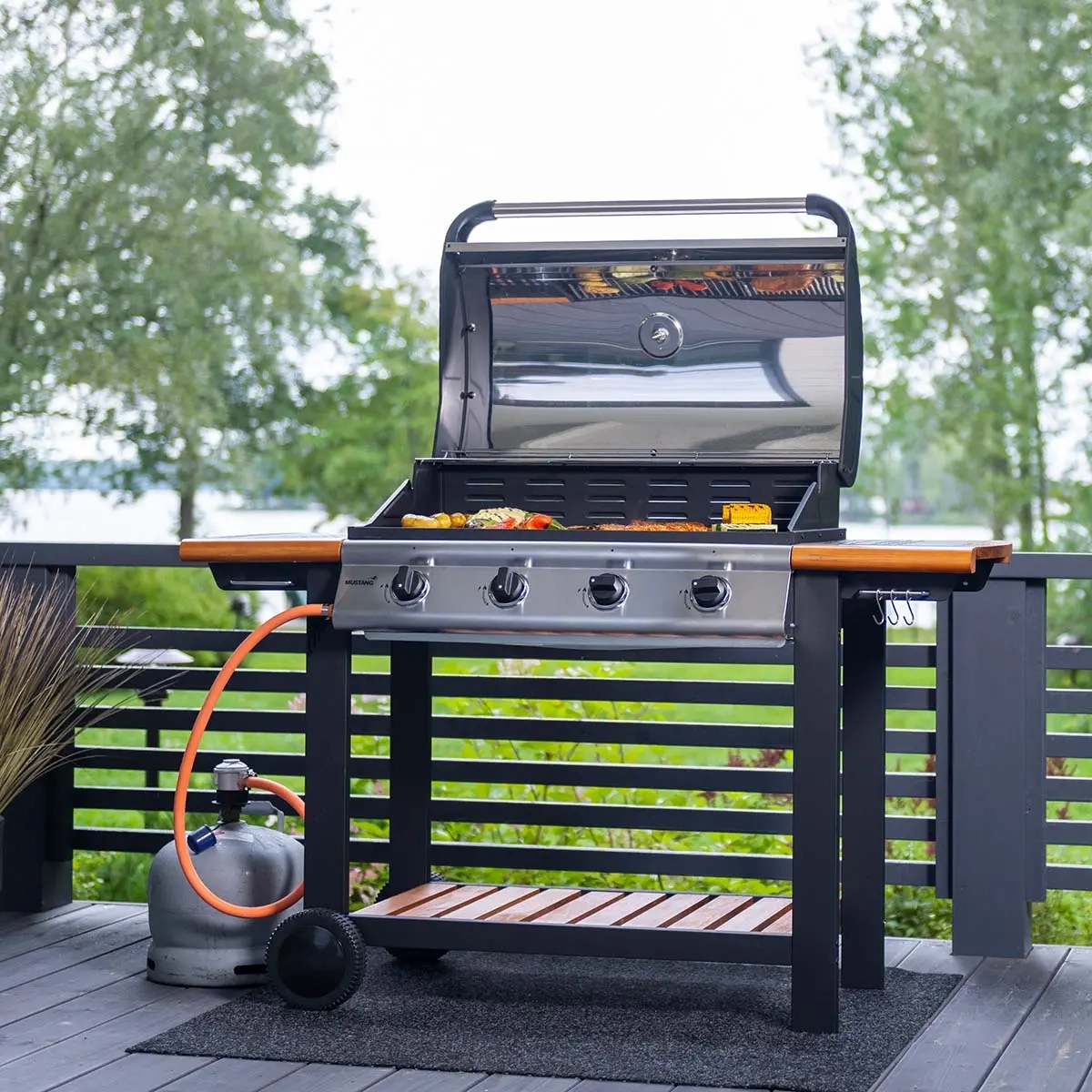 Gasgrill Greenville 3 -  - 6410416236360 - 1