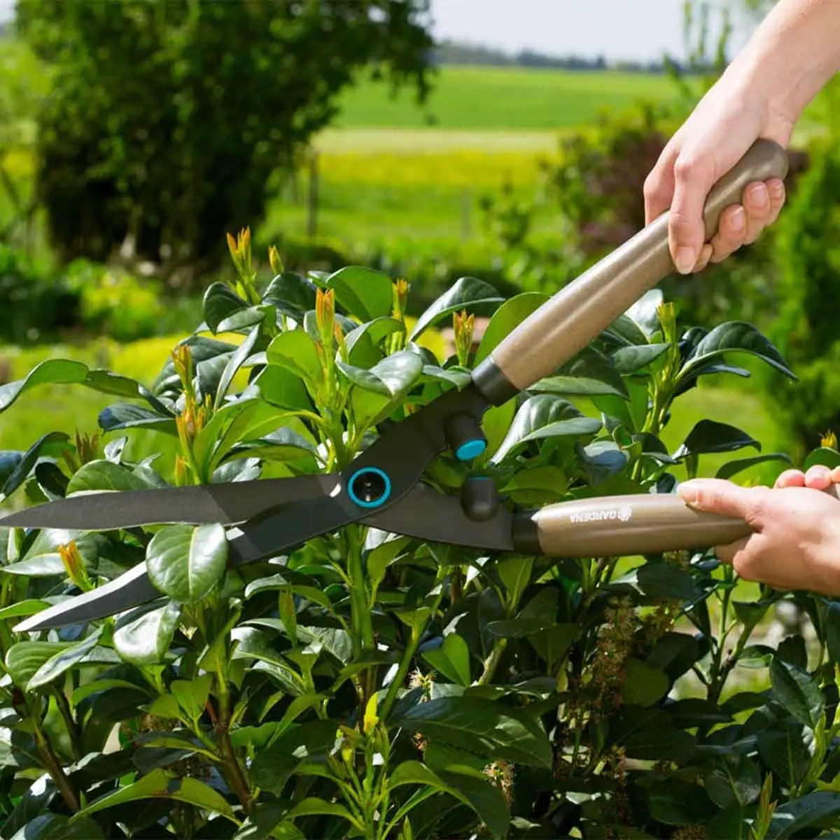 Havesaks Gardena NatureCut - Havesaks og hæksaks - 4078500049078 - 1