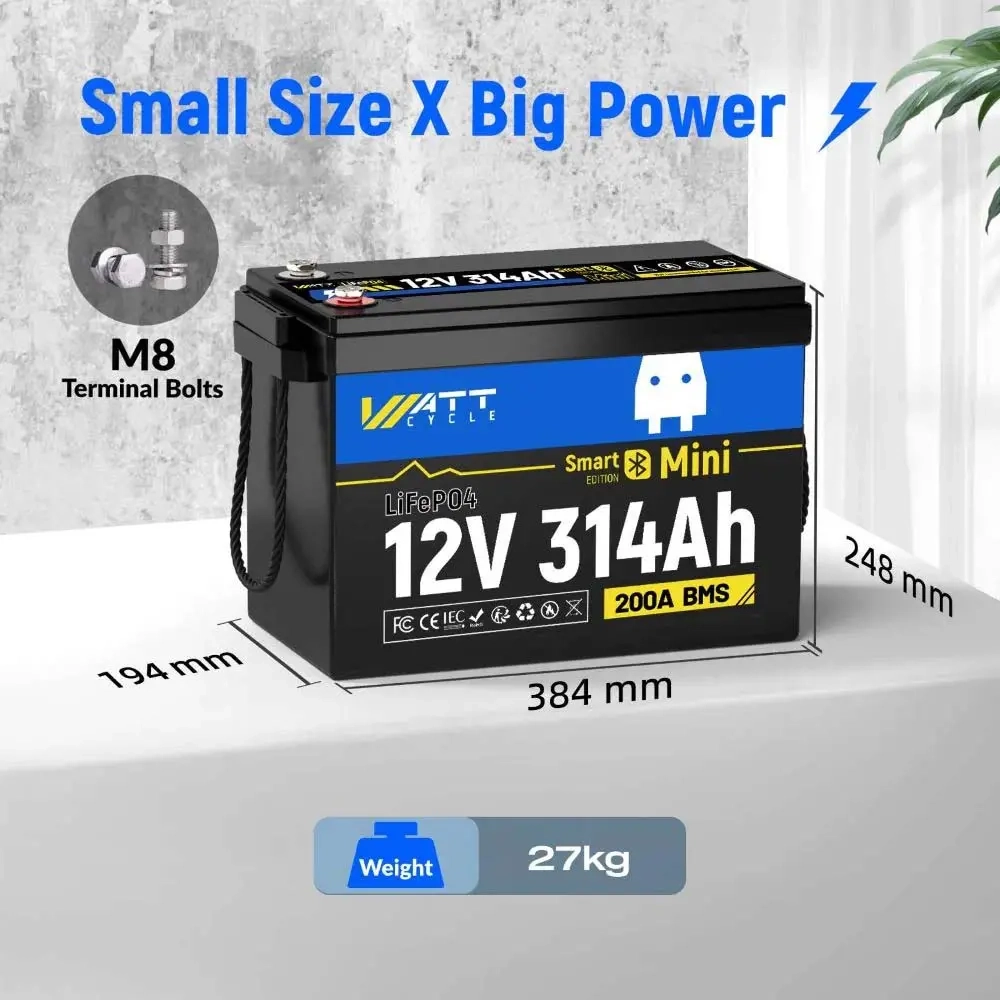  - LiFePO4-batterier - 6438471350807 - 12