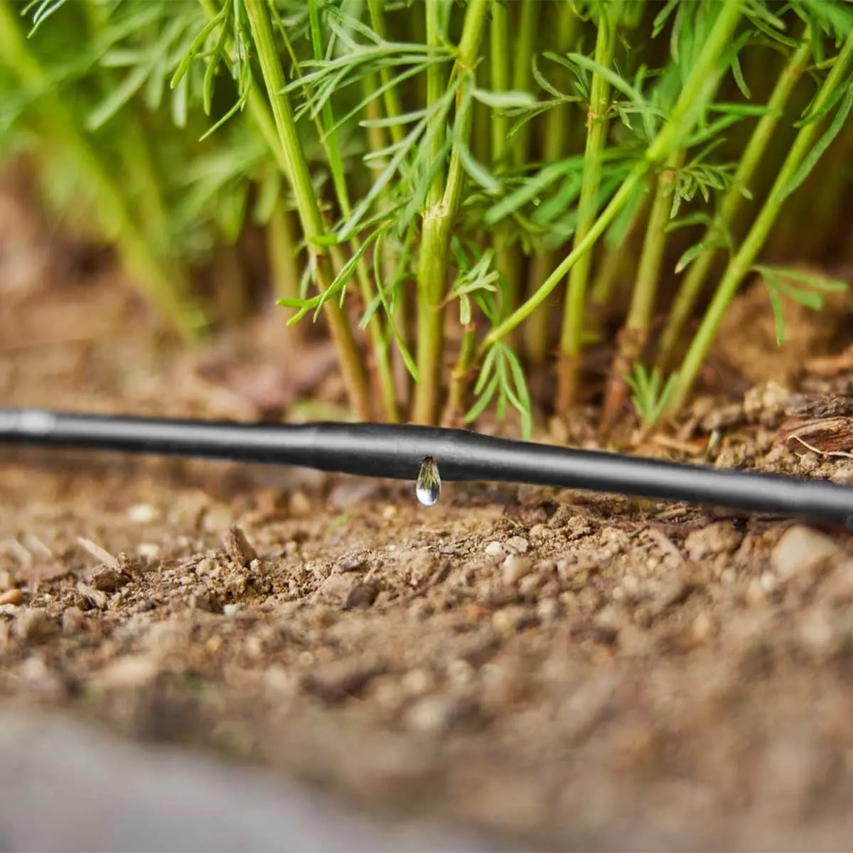 Gardena Micro-Drip-System S vandingssæt - Vandslanger - 4078500018241 - 3