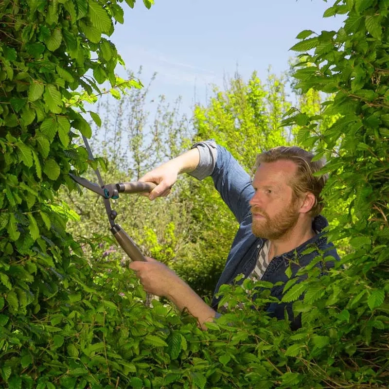 Havesaks Gardena NatureCut - Havesaks og hæksaks - 4078500049078 - 3