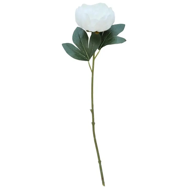 Pæon hvid dekorationsgren 51cm - Prydplanter - 6416906878133 - 0