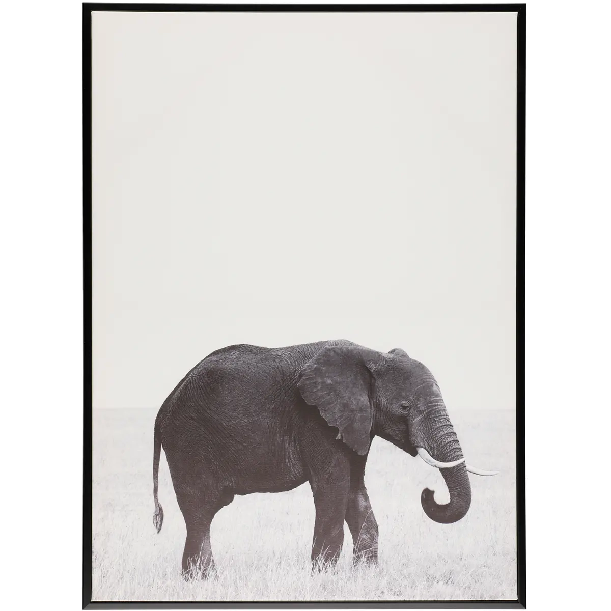 MÅLA DJUR 50x70cm ELEFANT - Ramar och tavlor - 6410416071268 - 0