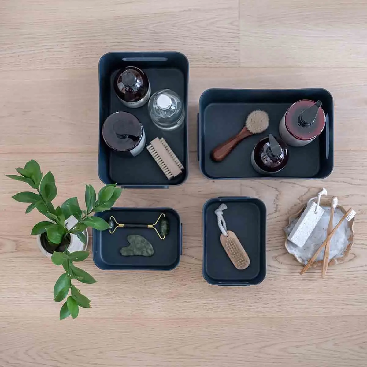 Förvaringslåda SmartStore comfort M - SmartStore förvaringslådor - 6411761081223 - 3