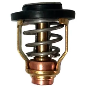Termostat Suzuki DF70-DF300 60°C. - Påhængsmotors servicedele og universaldele - 6438235270617 - 0