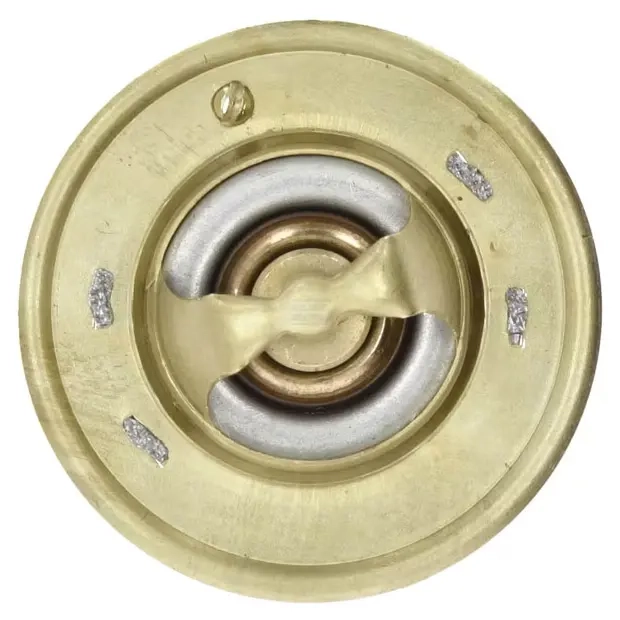Termostatlock Case, Fiat, Ford, NH - Extra värmare för arbetsmaskiner - 98463637GP - 1