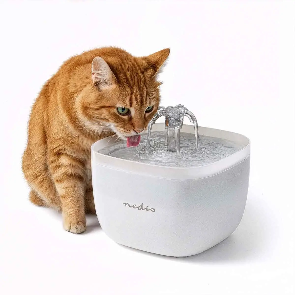 Drikkestation til katte og hunde 2L - Hundens spiseplads - 5412810477050 - 3