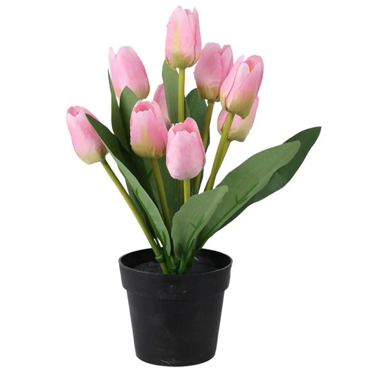 Tulpan i kruka arrangemang - Konstväxter och konstblommor - 8721037312837 - 1