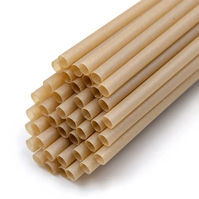 Sugrör 50 st 210mm Bio SaveGaia 12p - Engångsartiklar - 16429830161179 - 1