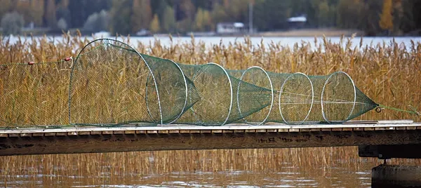Ruse 7,5m kystfiske, pleterække - Russere og tilbehør - 6418252907505 - 0
