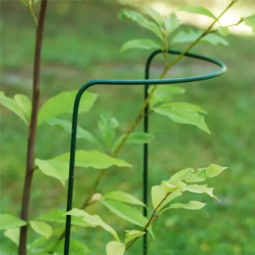 Perennstöd 70cm grön - Växtstöd och buskstöd - 6430040621387 - 0