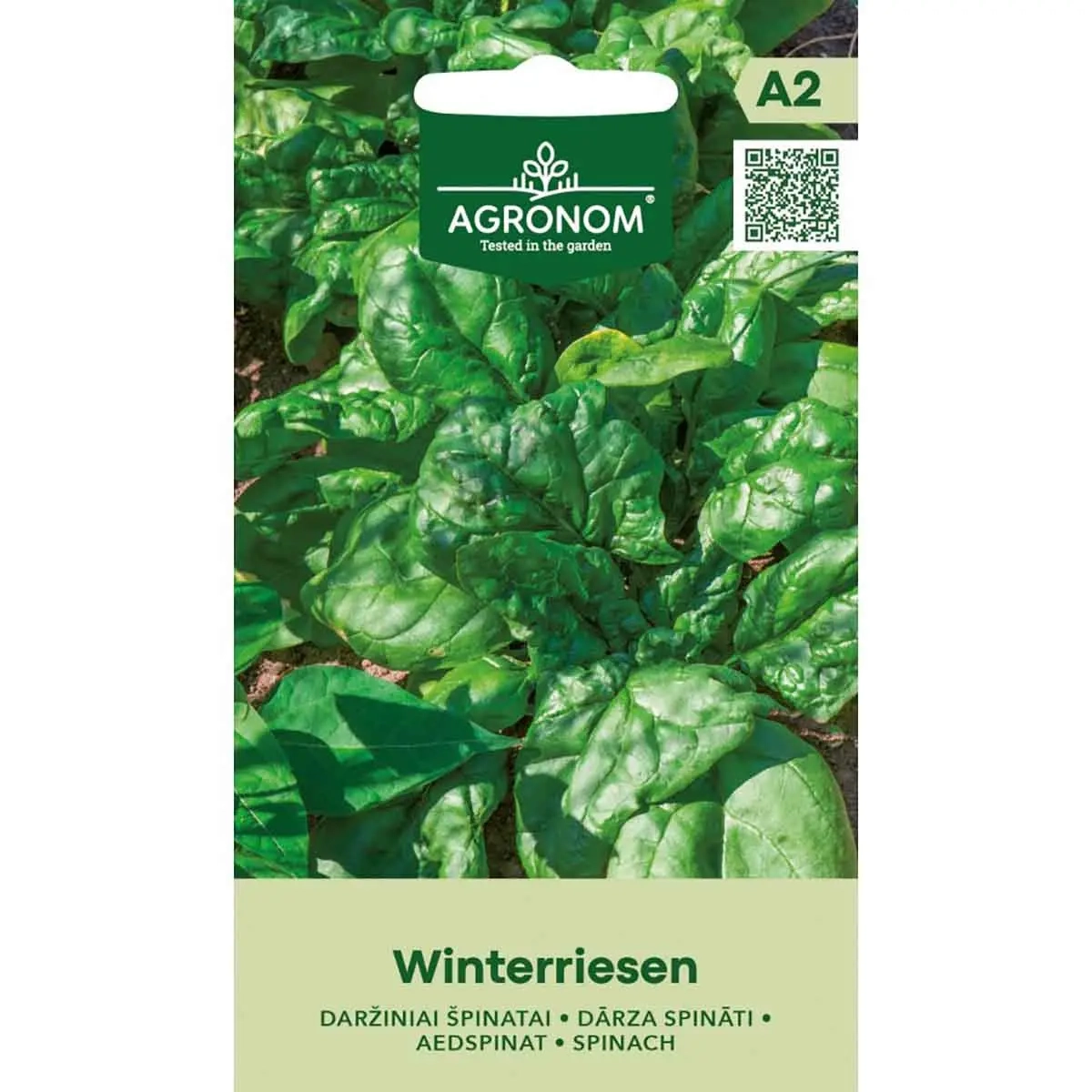 Spinach Winterriesen - Frø - 4770168925427 - 0