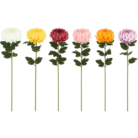 Dekorationsgren Pæon Assortment - Prydplanter - 8721037353717 - 0