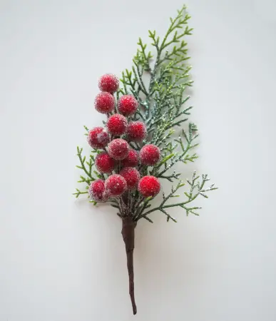 BÄRGRÖN / RÖD 20cm - Konstgjorda kvistar - 6416906751153 - 0