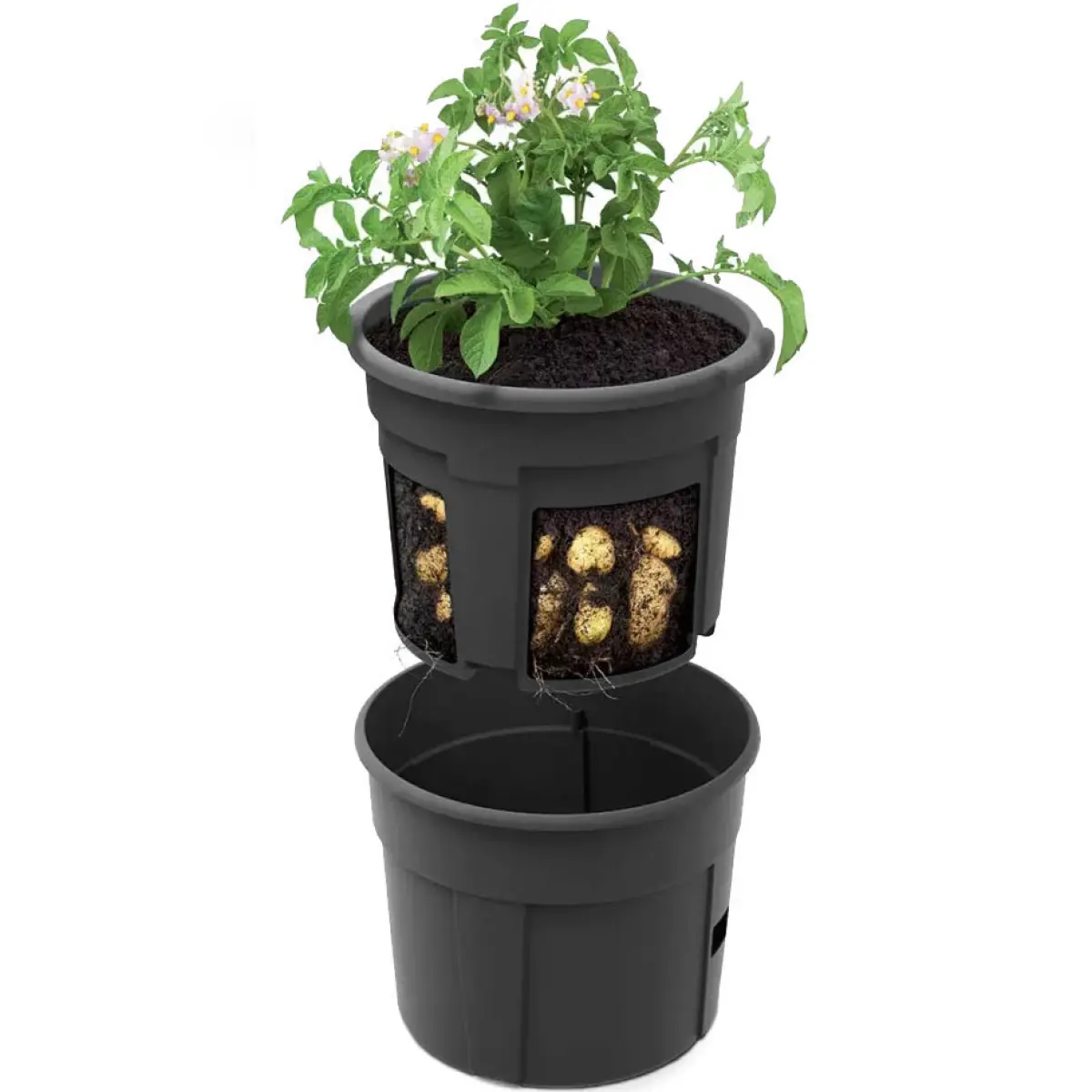 Potatiskruka PotatoPot 28L - Växthus och odlingslådor - 5905197289090 - 0