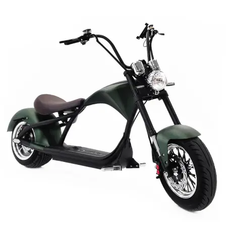 Elektrisk skoter främre stötdämparpar HD - Elscooter reservdelar - 6438471016154 - 1