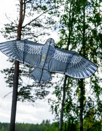 Fugleskræmsel drage falk 4m + 2m - Fuglepigge, fugleskræmsler og fugleskræmsler - 6438168103150 - 1