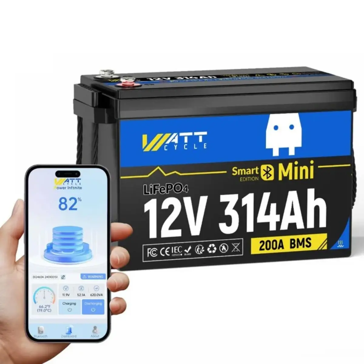 - LiFePO4-batterier - 6438471354355 - 0