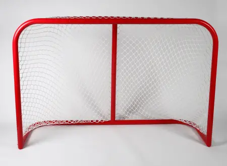 Hockeyfärgsnät 122x183cm - Ishockeymål och hockeytillbehör för spel och  - 6410412598288 - 0